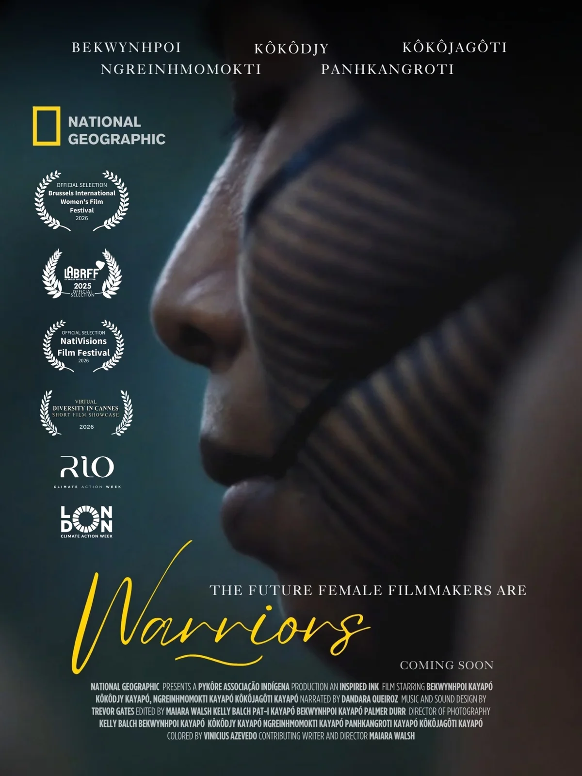 Warriors poster with festival laurels