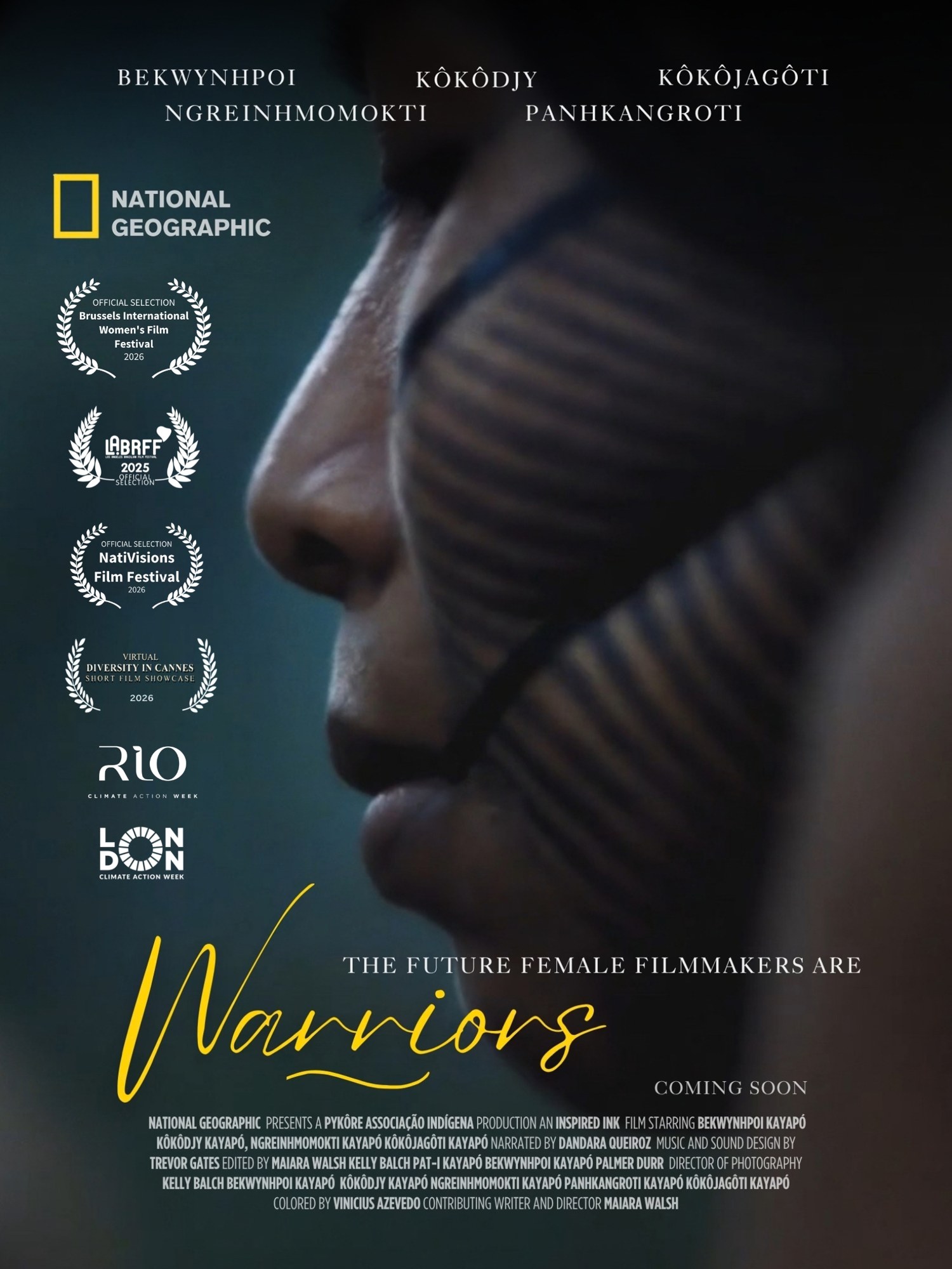 Warriors poster with festival laurels