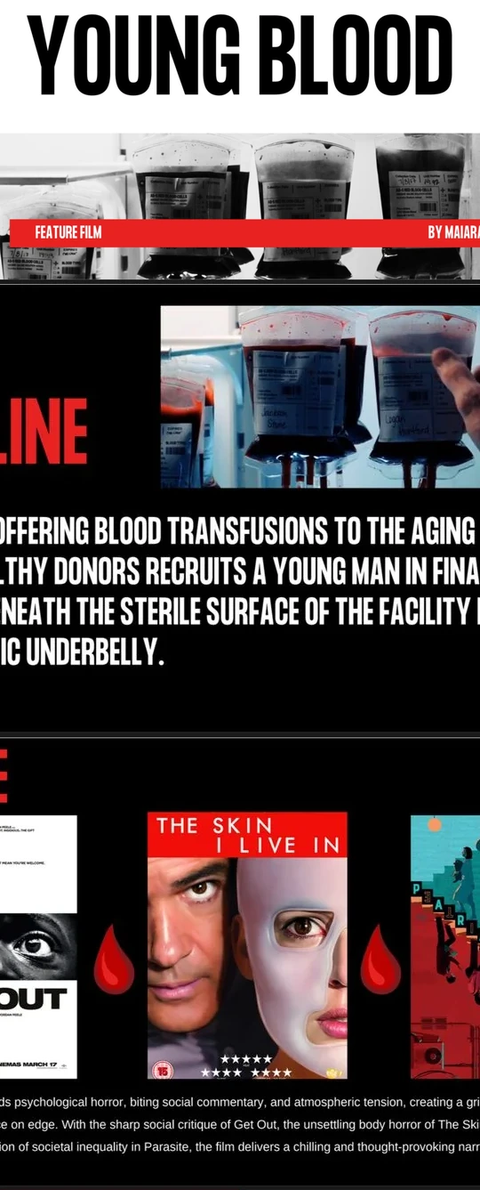 Young Blood pitch deck design